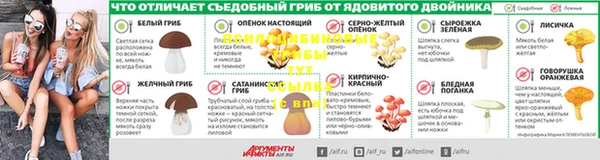 мдпв Елабуга