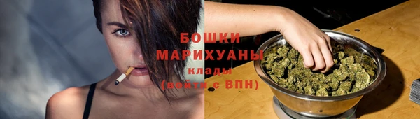 мдпв Елабуга