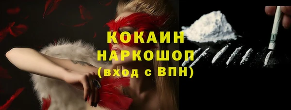 крисы Дмитров
