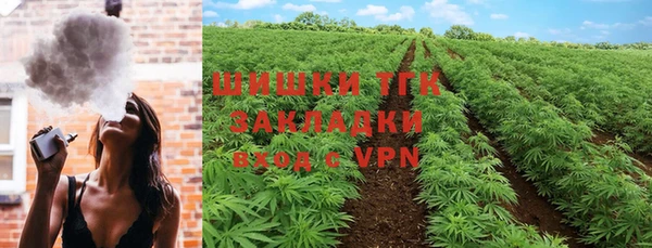 мдпв Елабуга