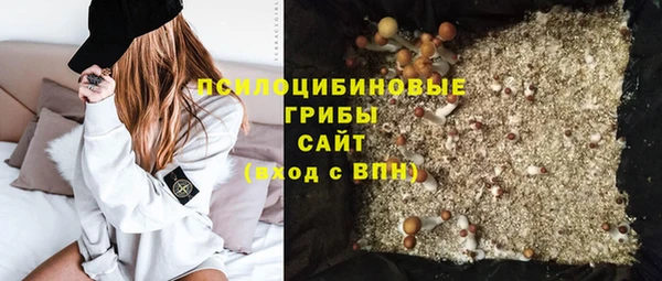мдпв Елабуга