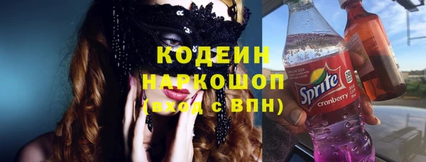 мдпв Елабуга