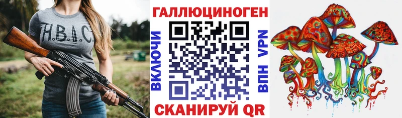блэк спрут как войти  Цоци-Юрт  Псилоцибиновые грибы MAGIC MUSHROOMS 